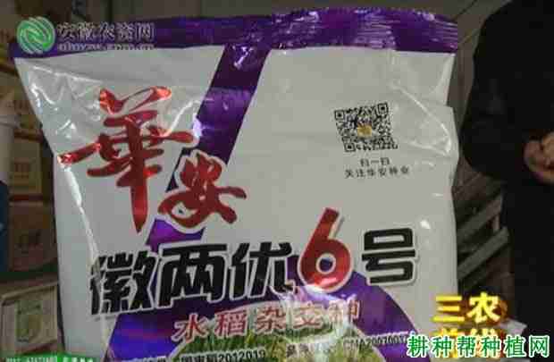 徽两优6号是国审稻吗?(徽两优系列水稻品种)